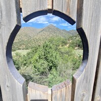 View through the back yard fence.