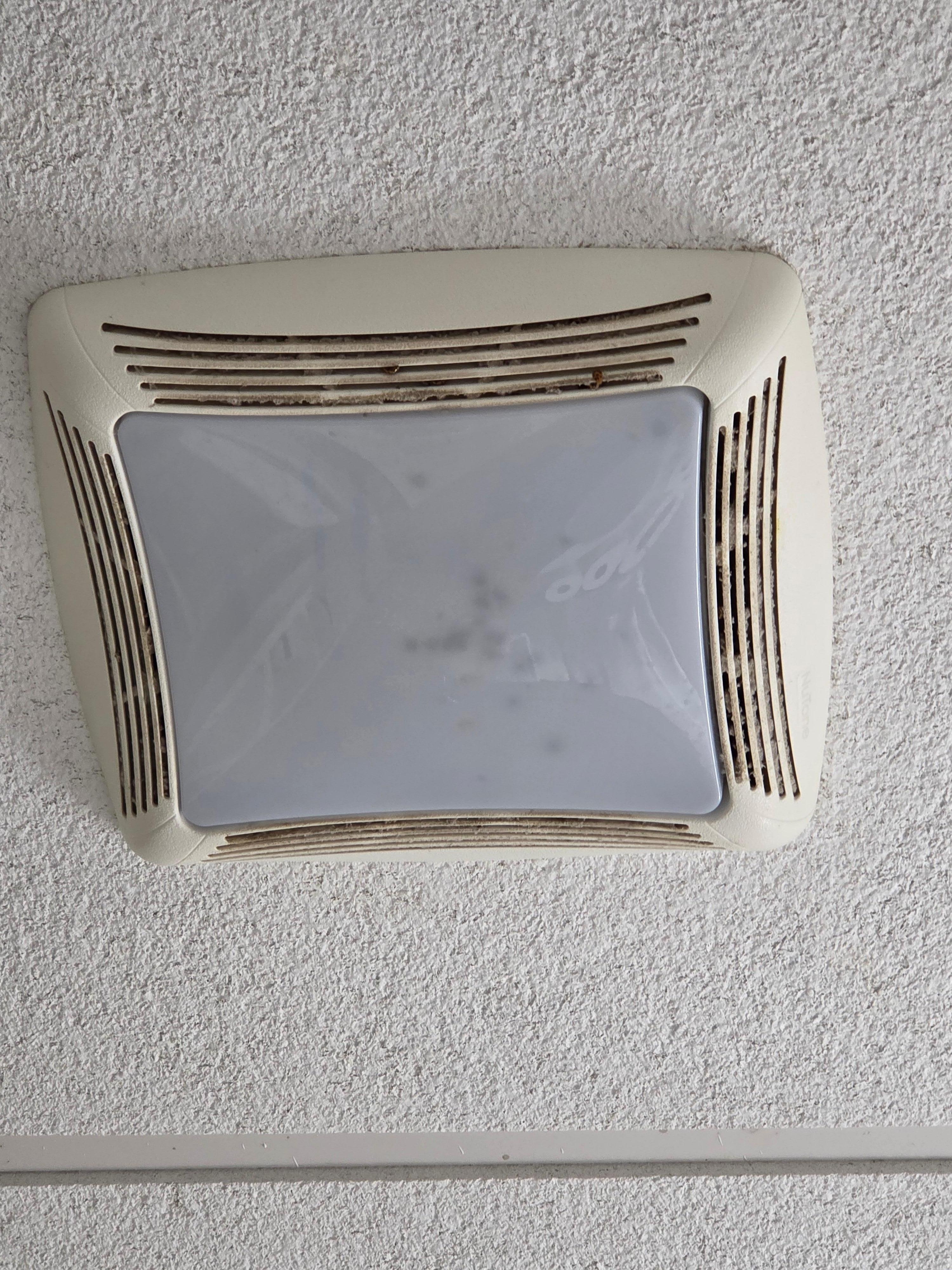 Maybe the source of the ladybugs? 