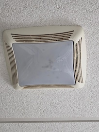 Maybe the source of the ladybugs?