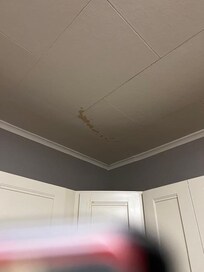 Stain in the kitchen on the ceiling.