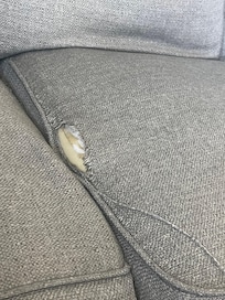 Ripped couch. I didn’t get a phot of the broken chair in the kitchen.