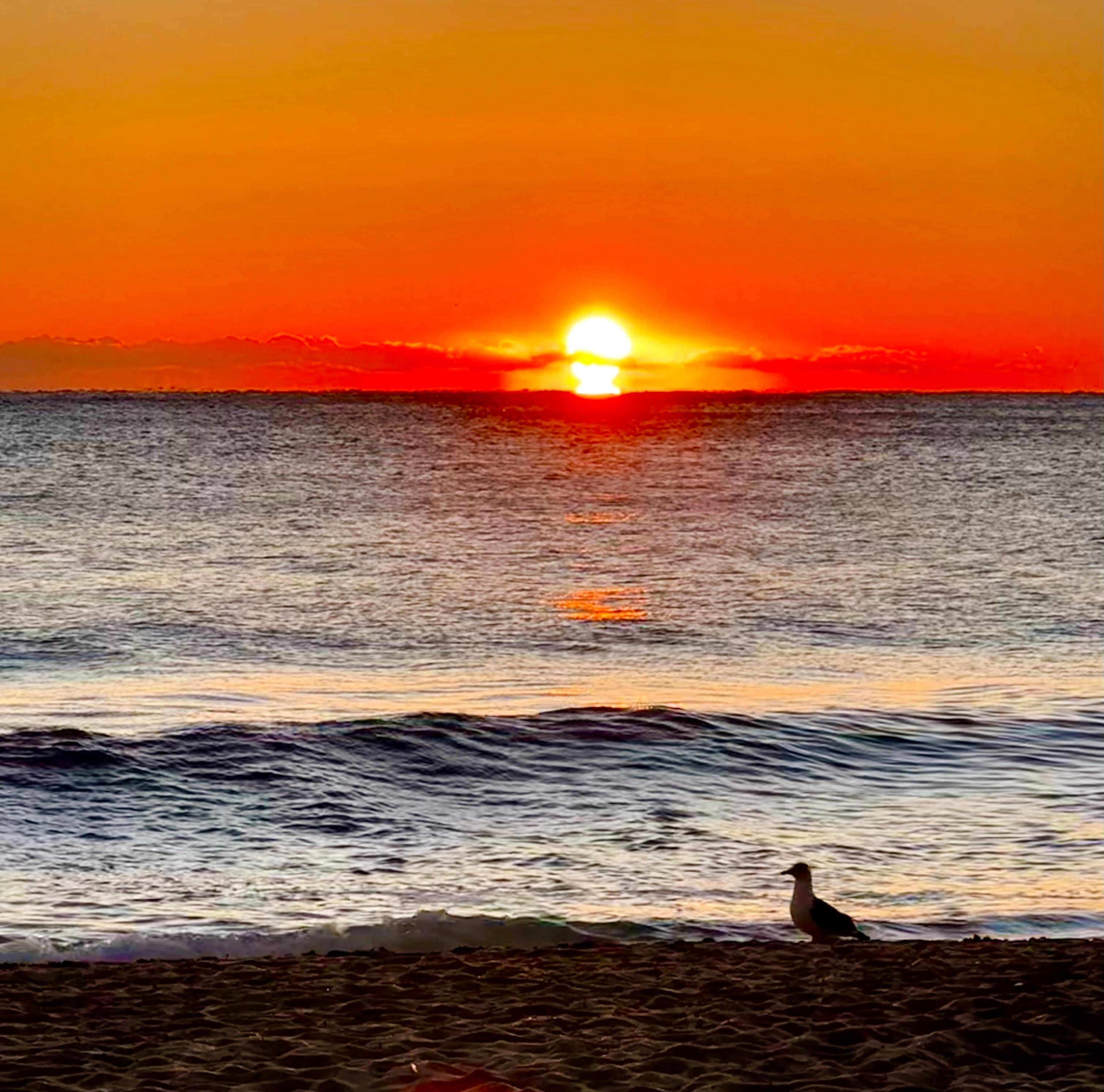 Sunrise from the beach 