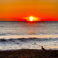 Sunrise from the beach
