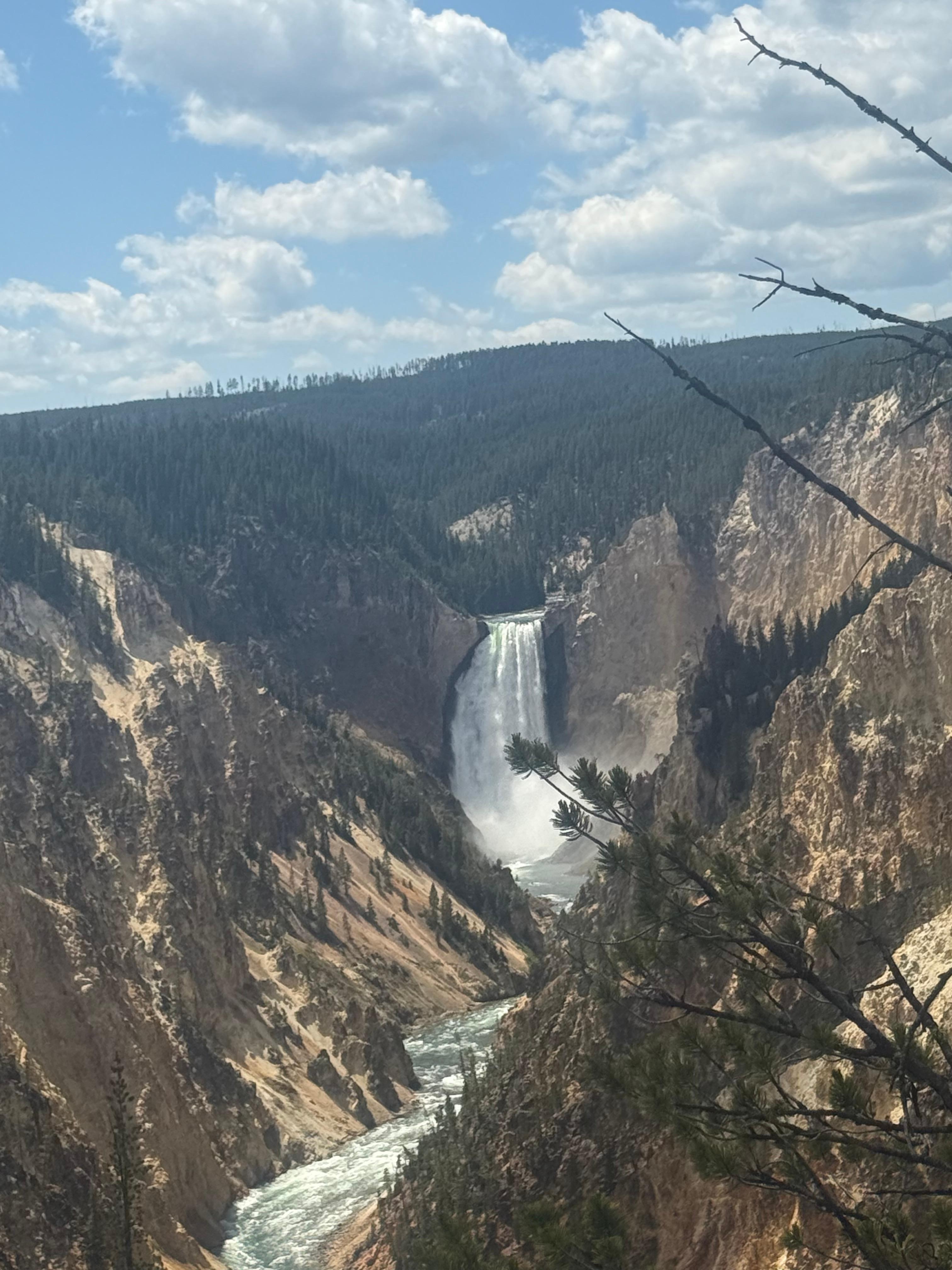 Yellowstone canyon