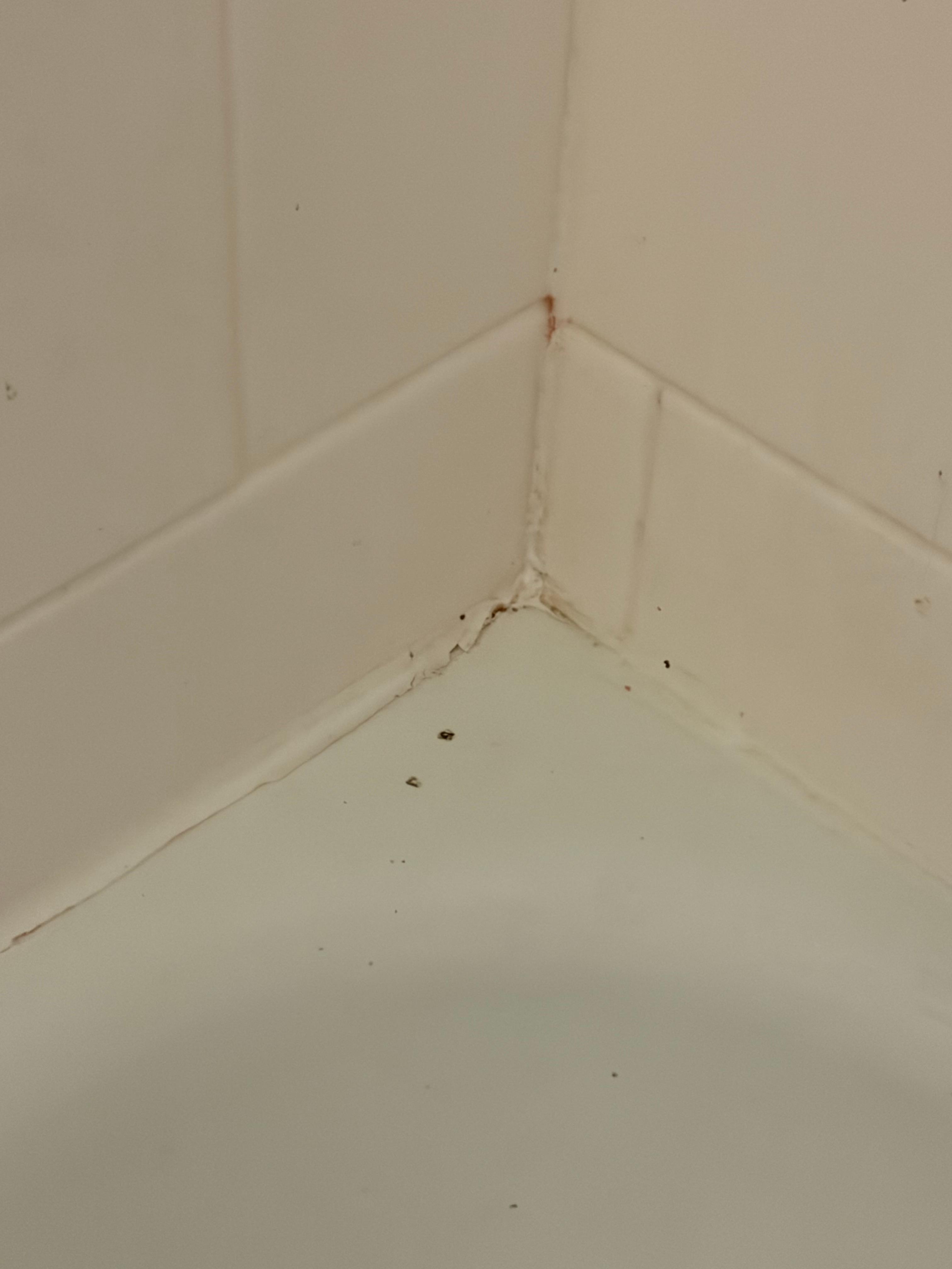 Corner of the shower/tub