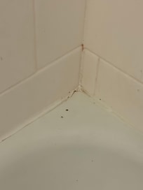 Corner of the shower/tub