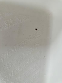 Dirty shower floor