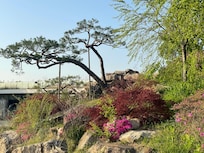 Botanic park