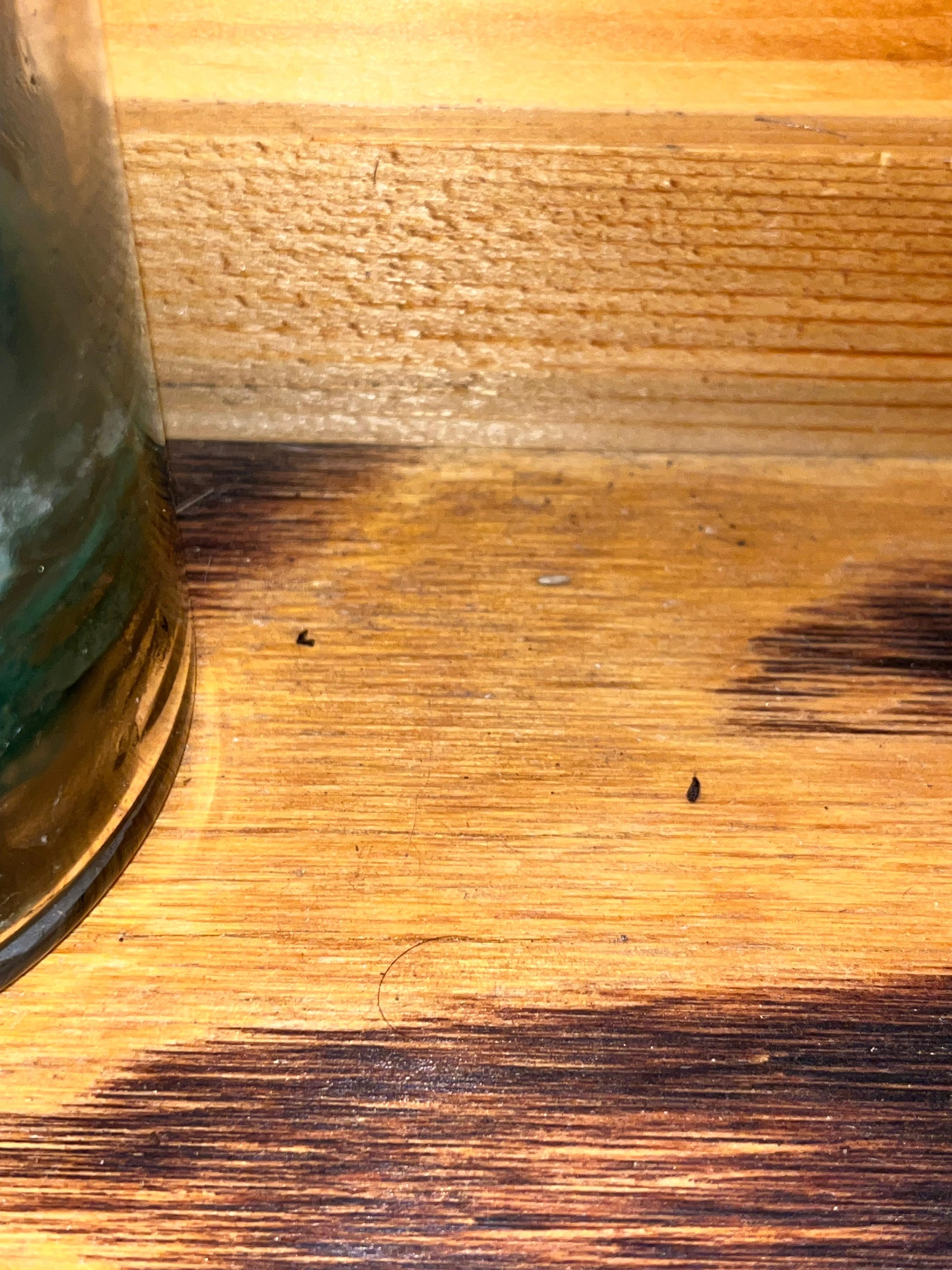 Mouse shit next to the desk