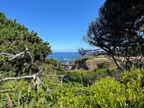Mendocino botanical gardens