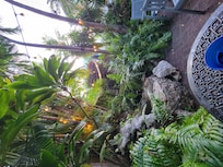 Morning coffee in the garden