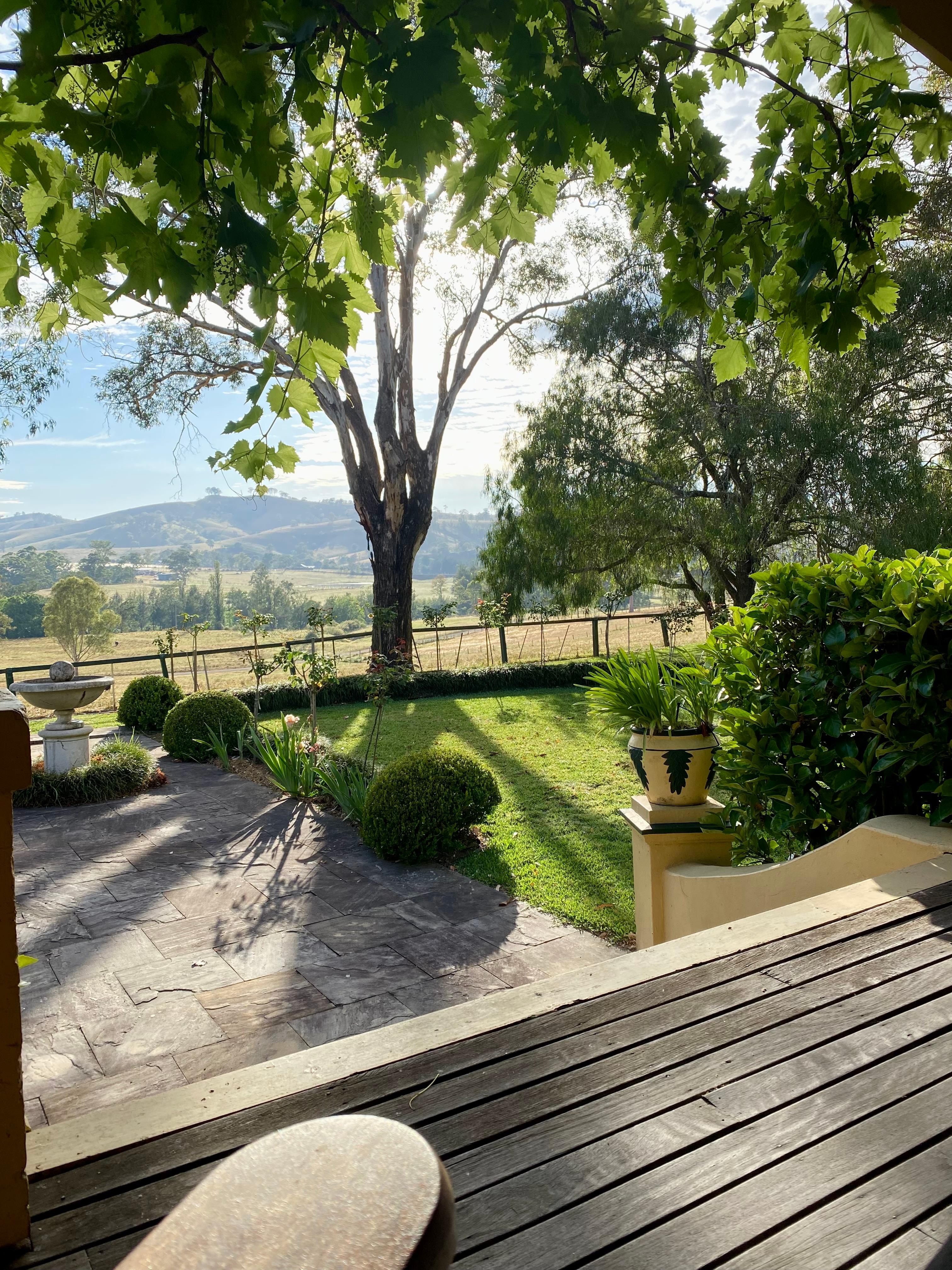 Morning vibes at 6am 