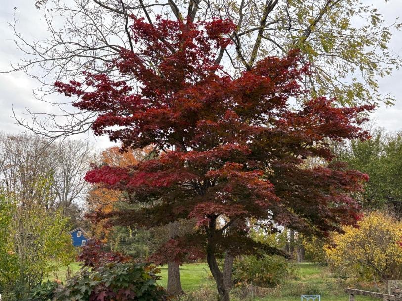 This is one angle of the view from the conservatory.