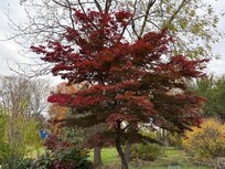 This is one angle of the view from the conservatory.