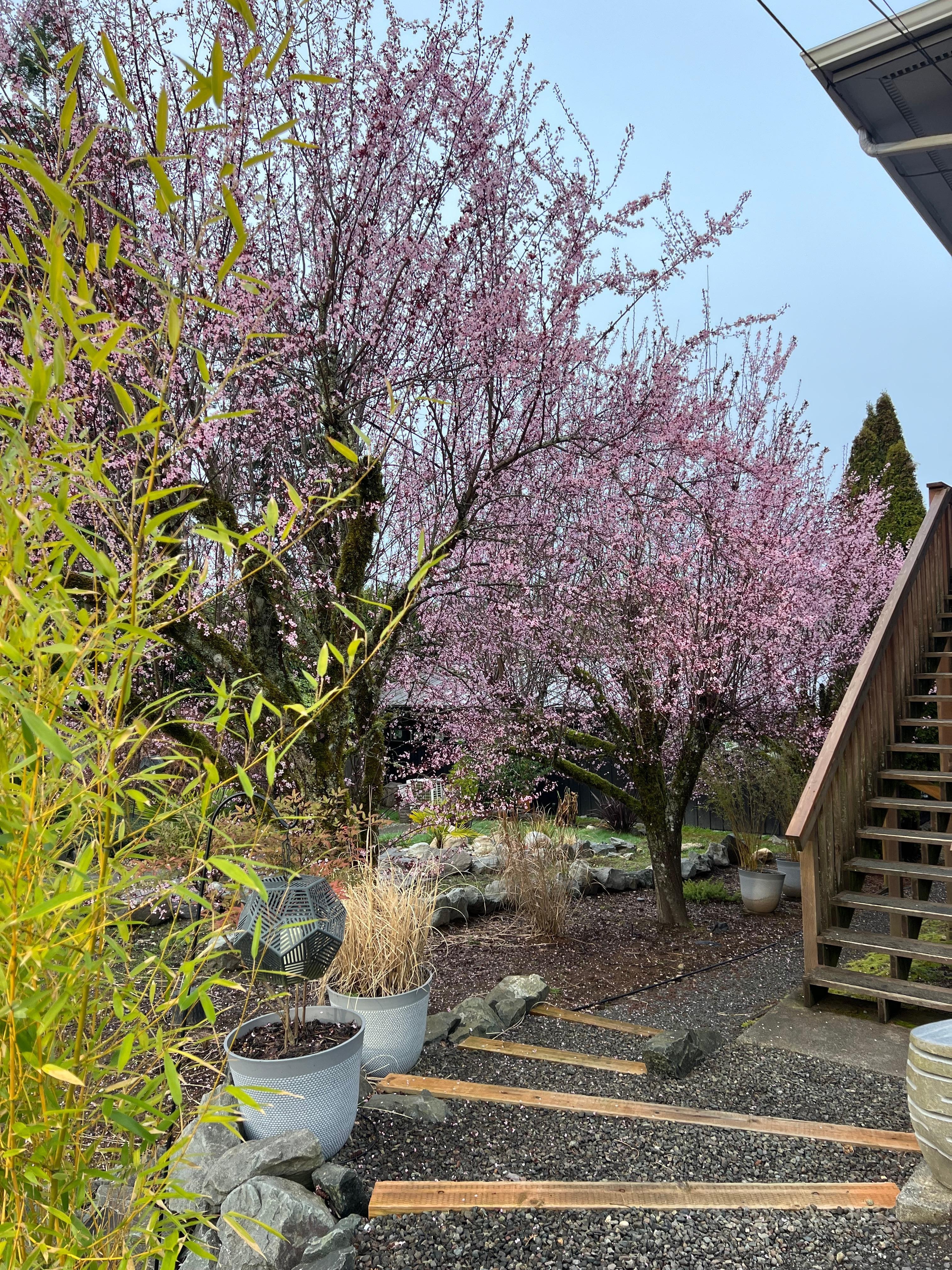 Stairs up to the unit.