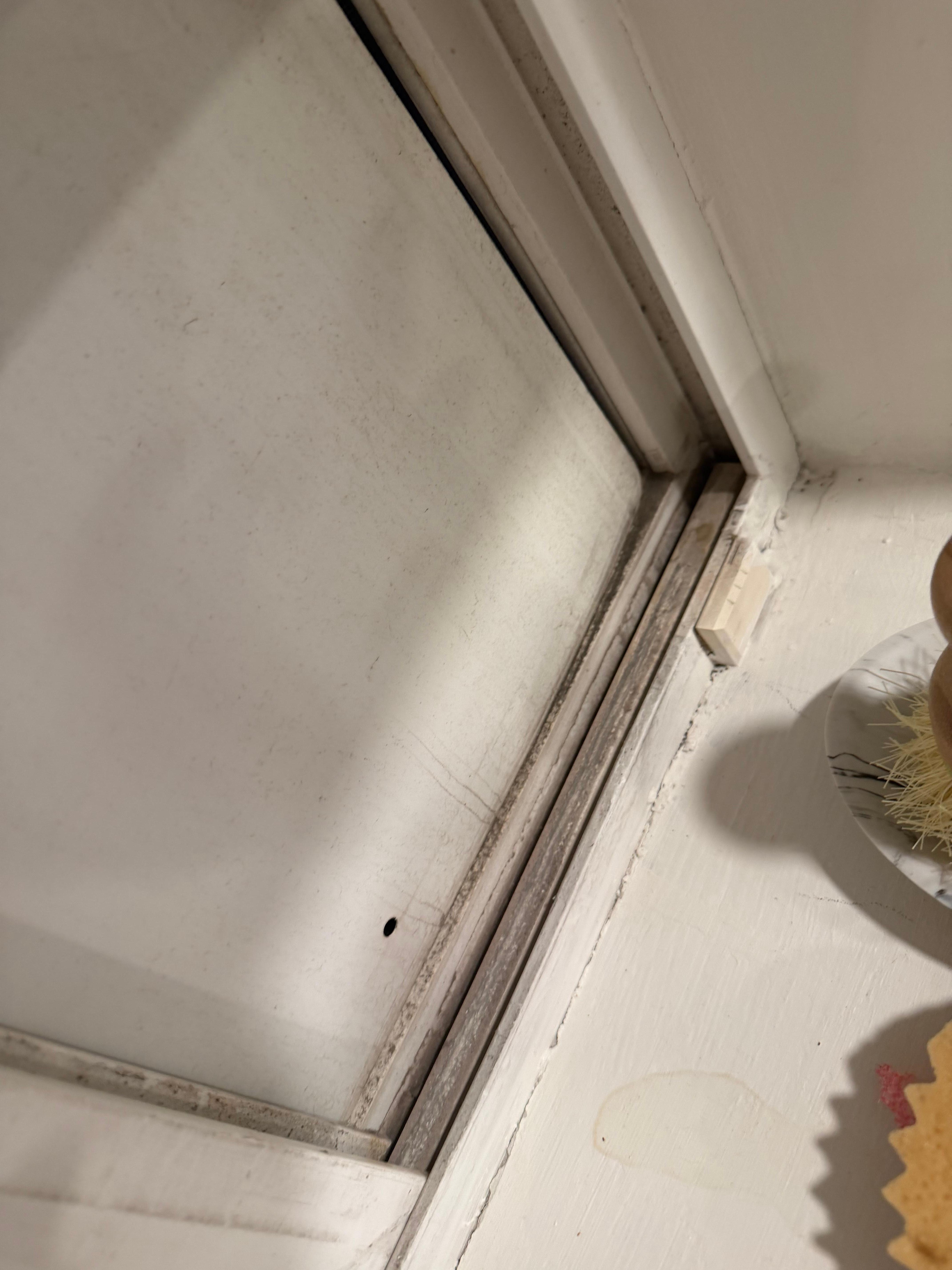 Downstairs kitchen window full of mold. 