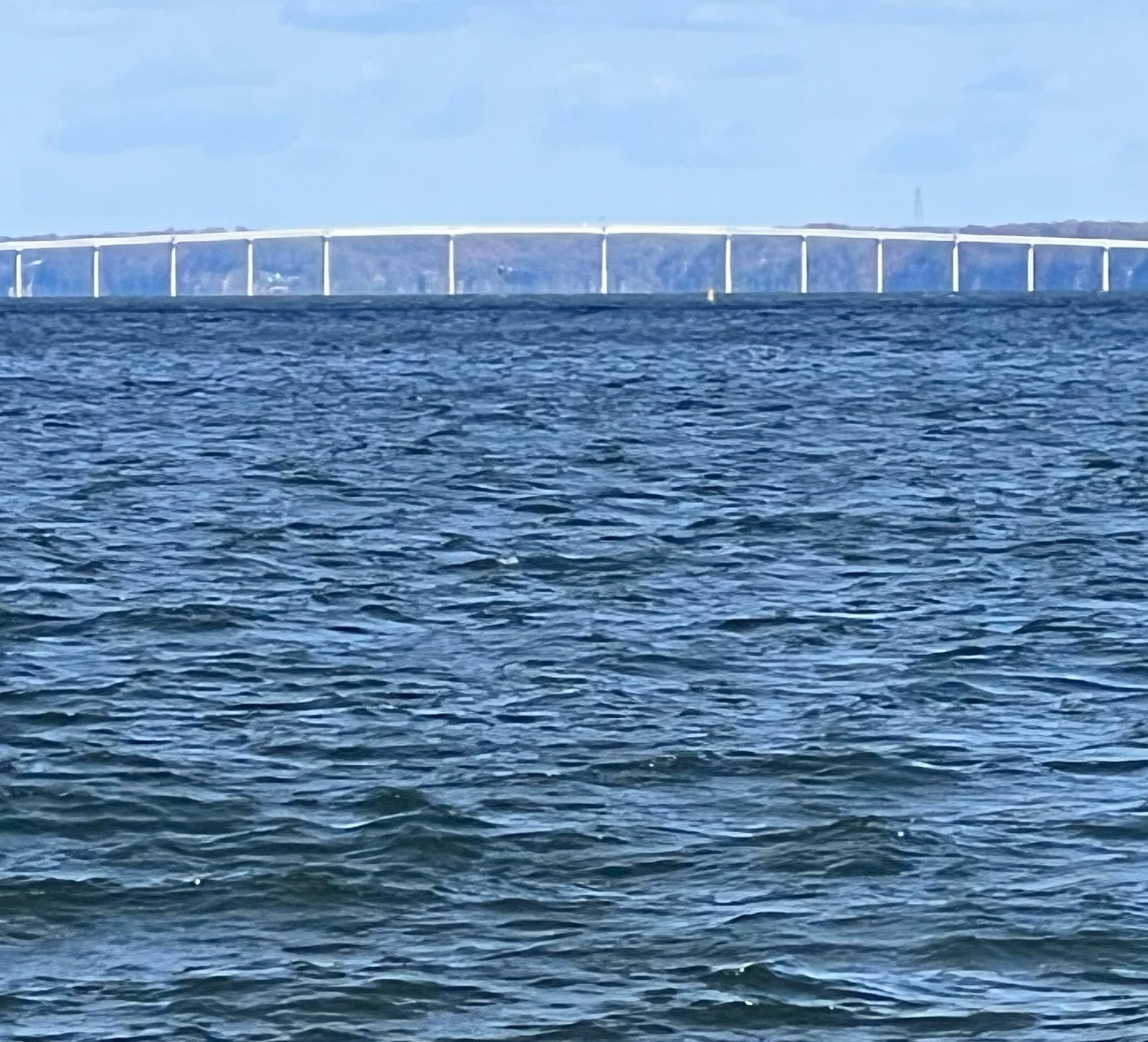The new bridge over the Potomac. View from Wilkersons!