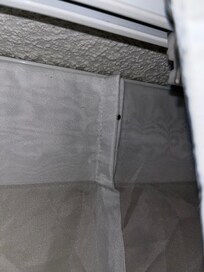 Bed bug found on the curtains.