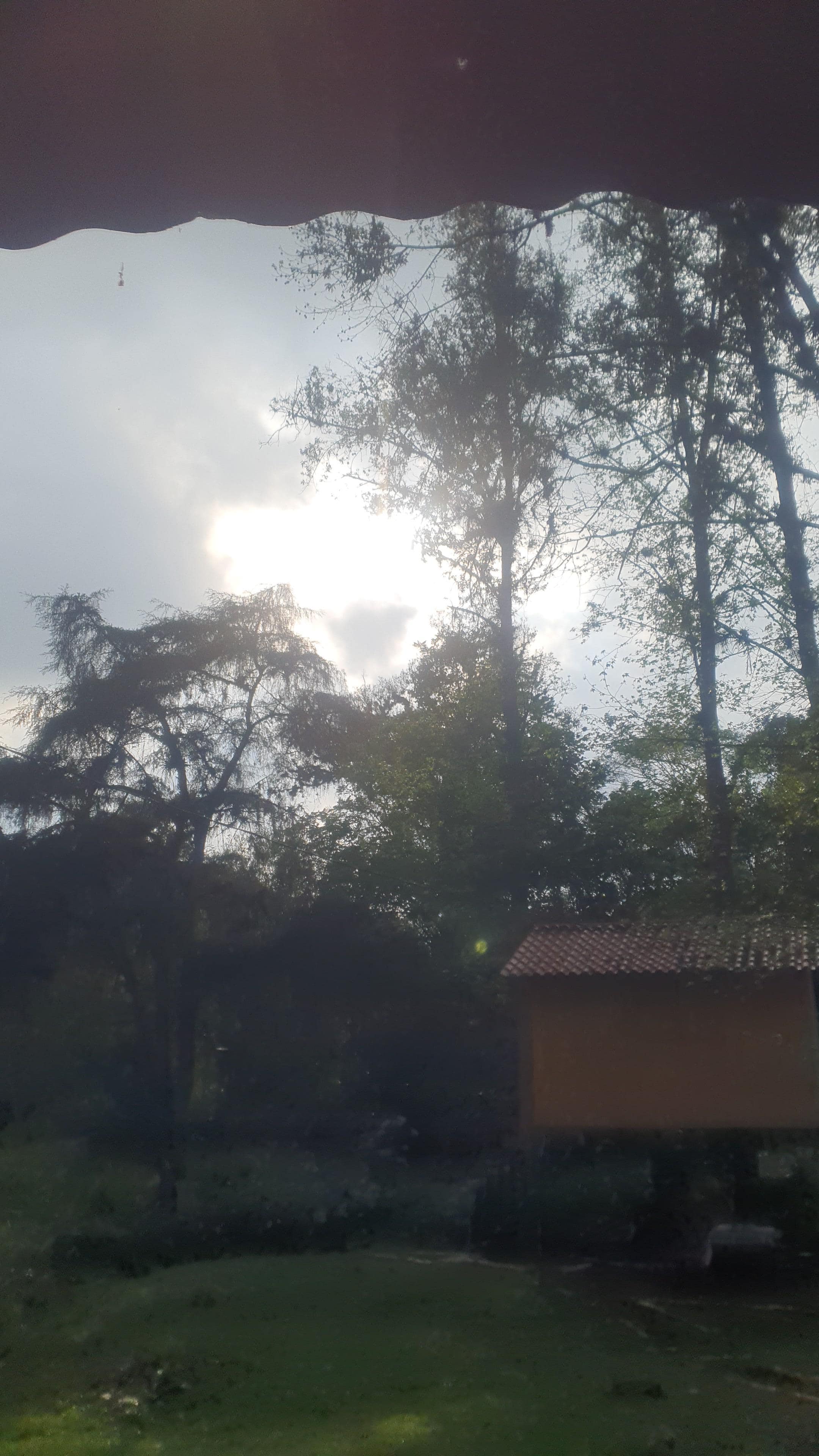 Es la casa del árbol donde nos hospedamos. Excelente lugar para descansar 