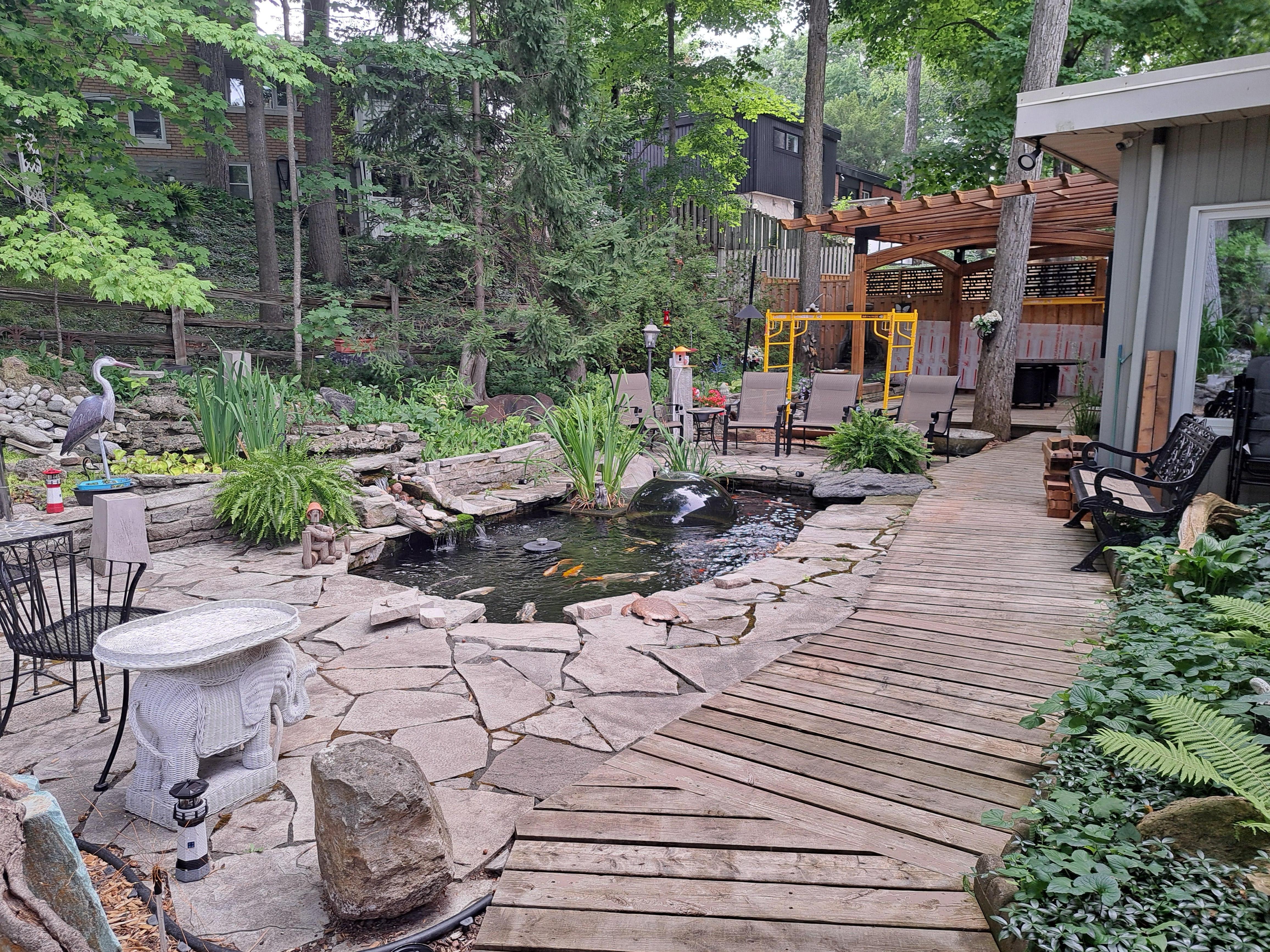 Outdoor koi pond