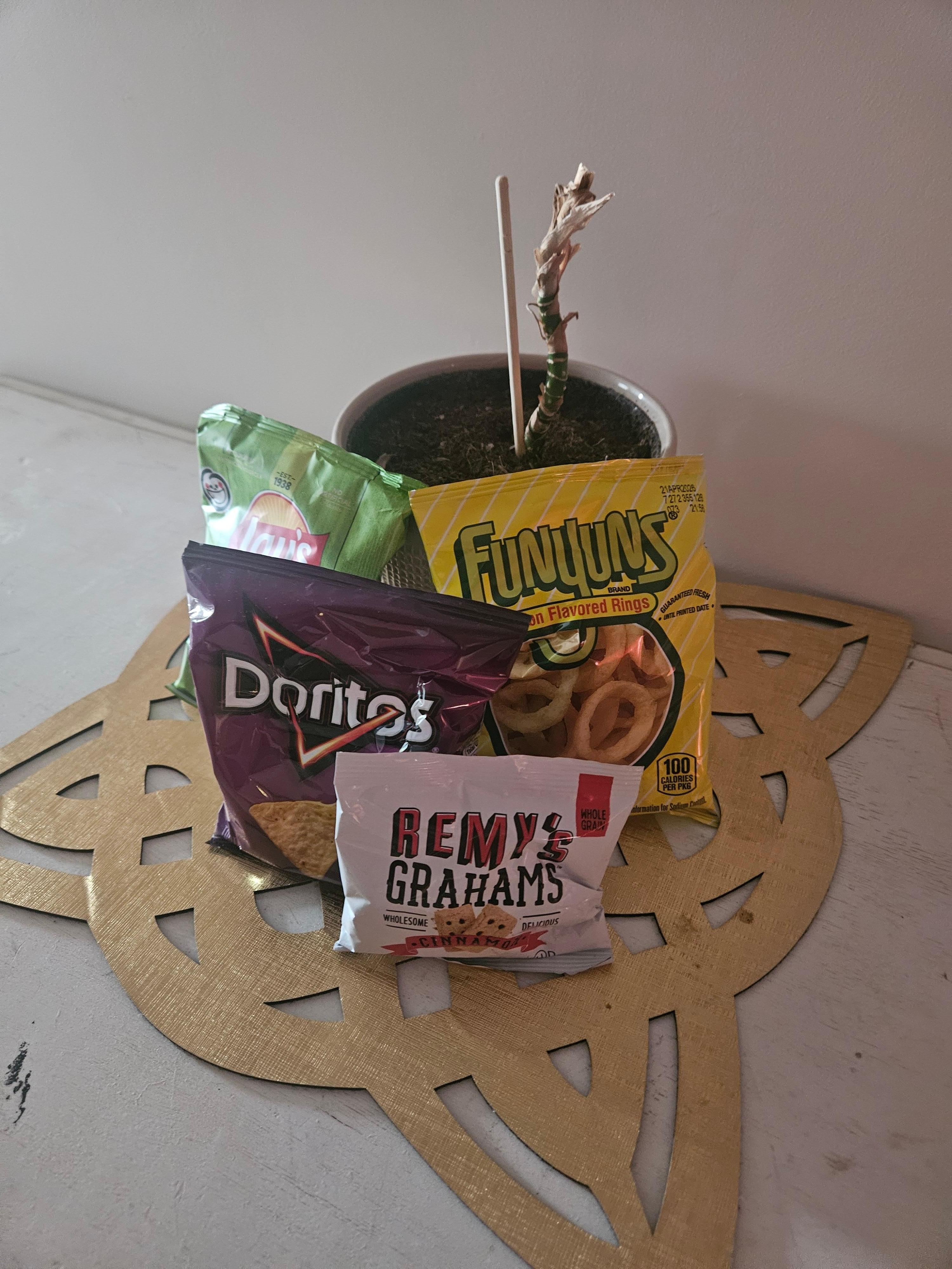 Snacks for us to enjoy! 