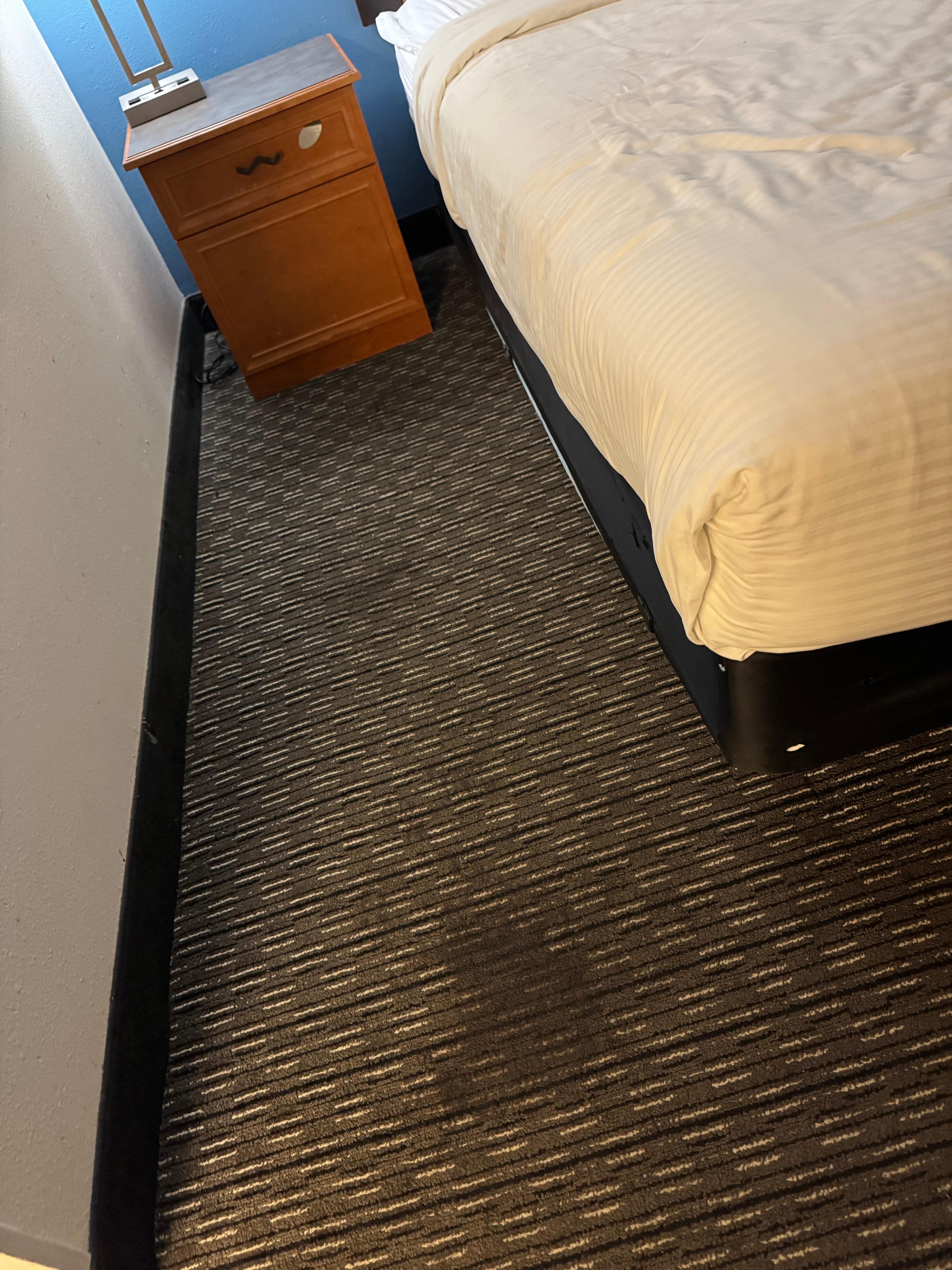 Throughout the whole room, the carpets are stained