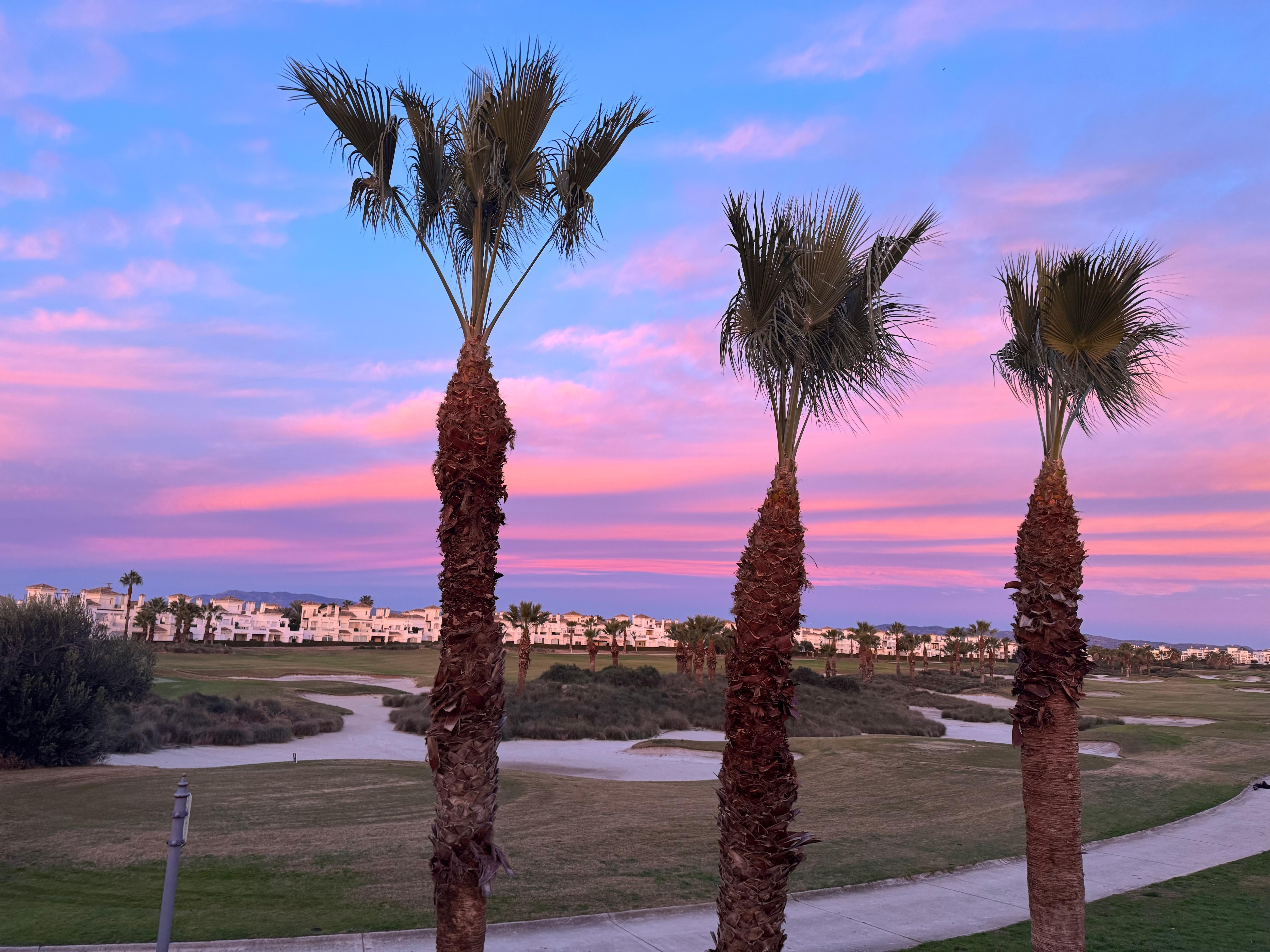 Uitzicht vanaf terras.