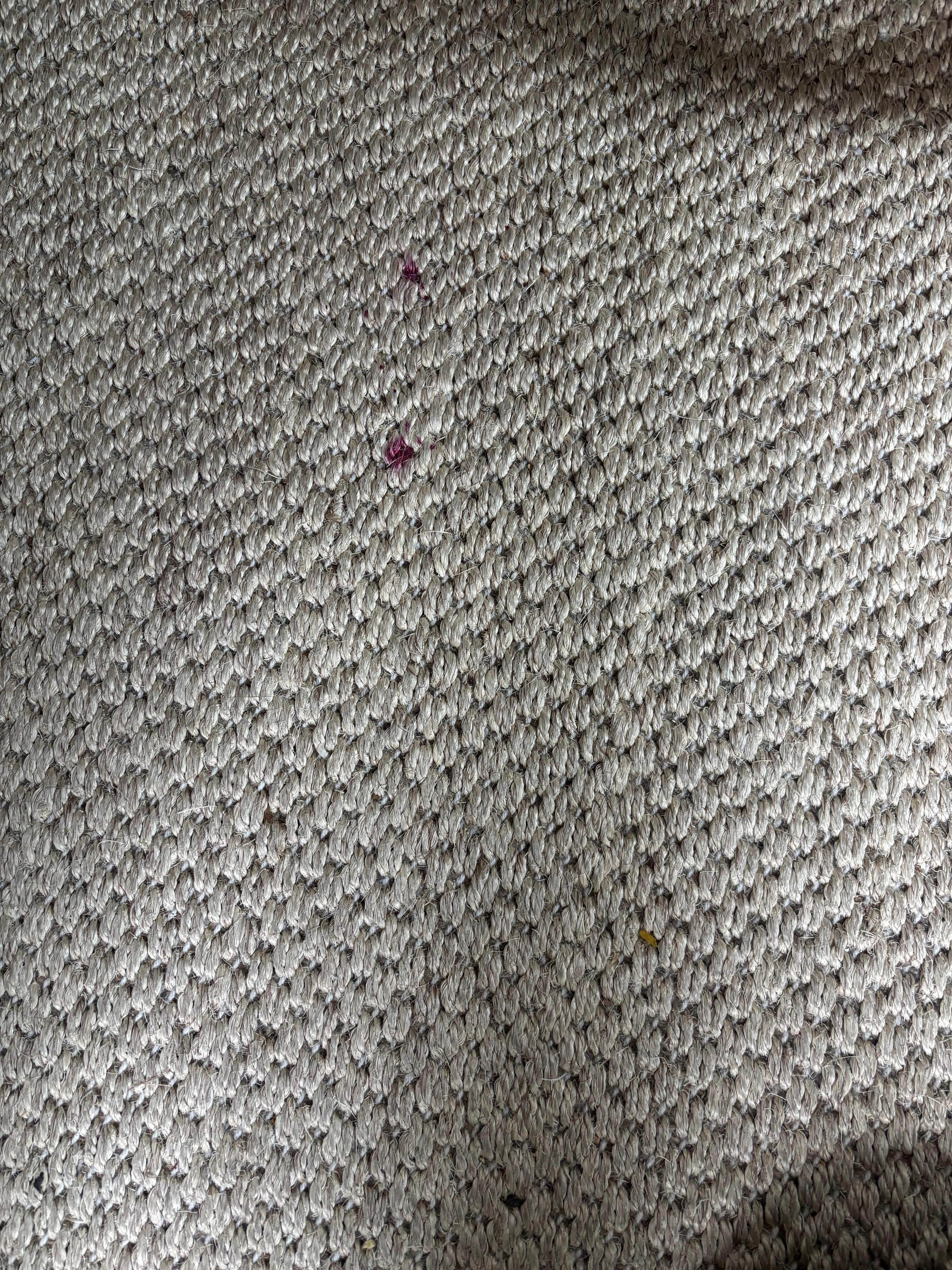 Stain in the rug
