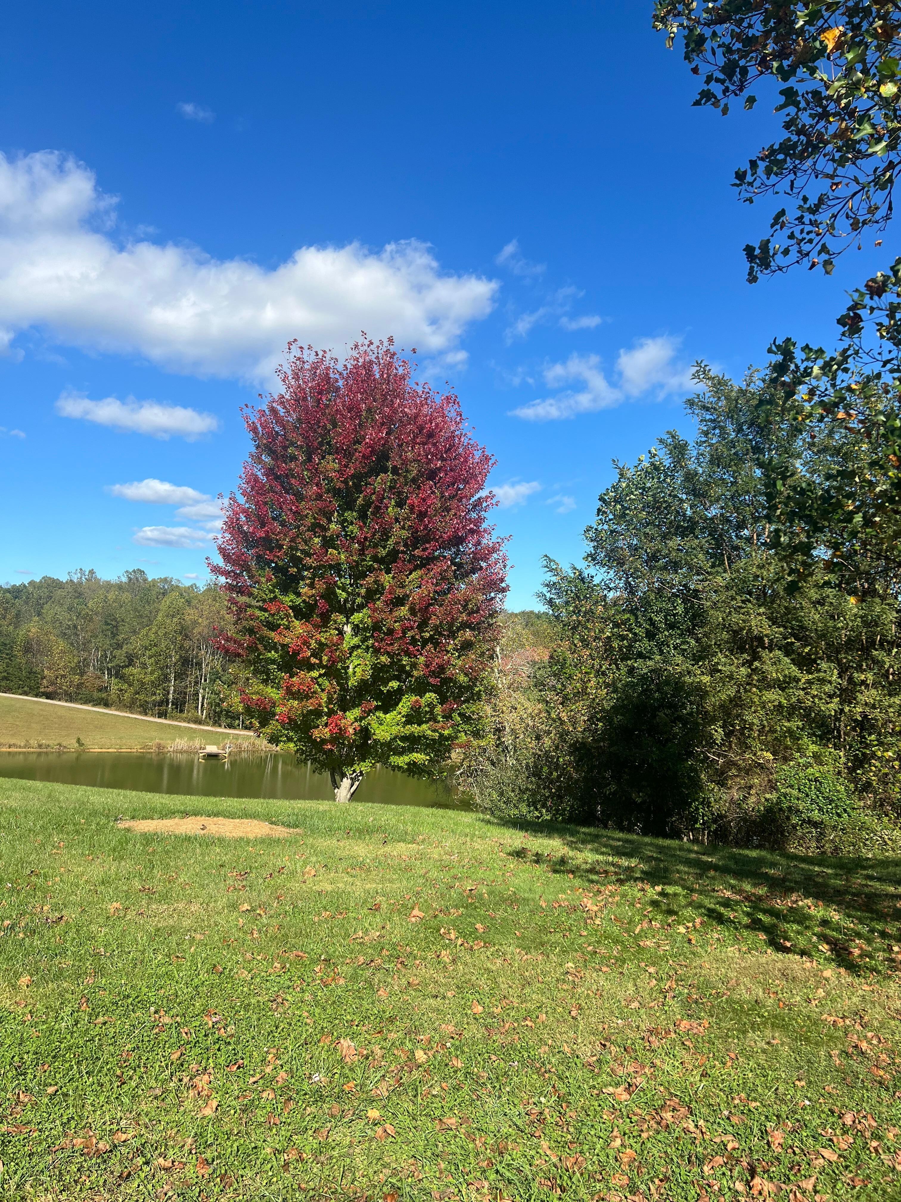 Fall colors just starting