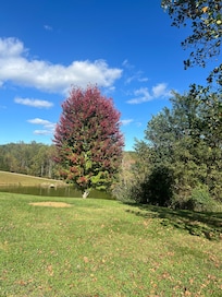 Fall colors just starting