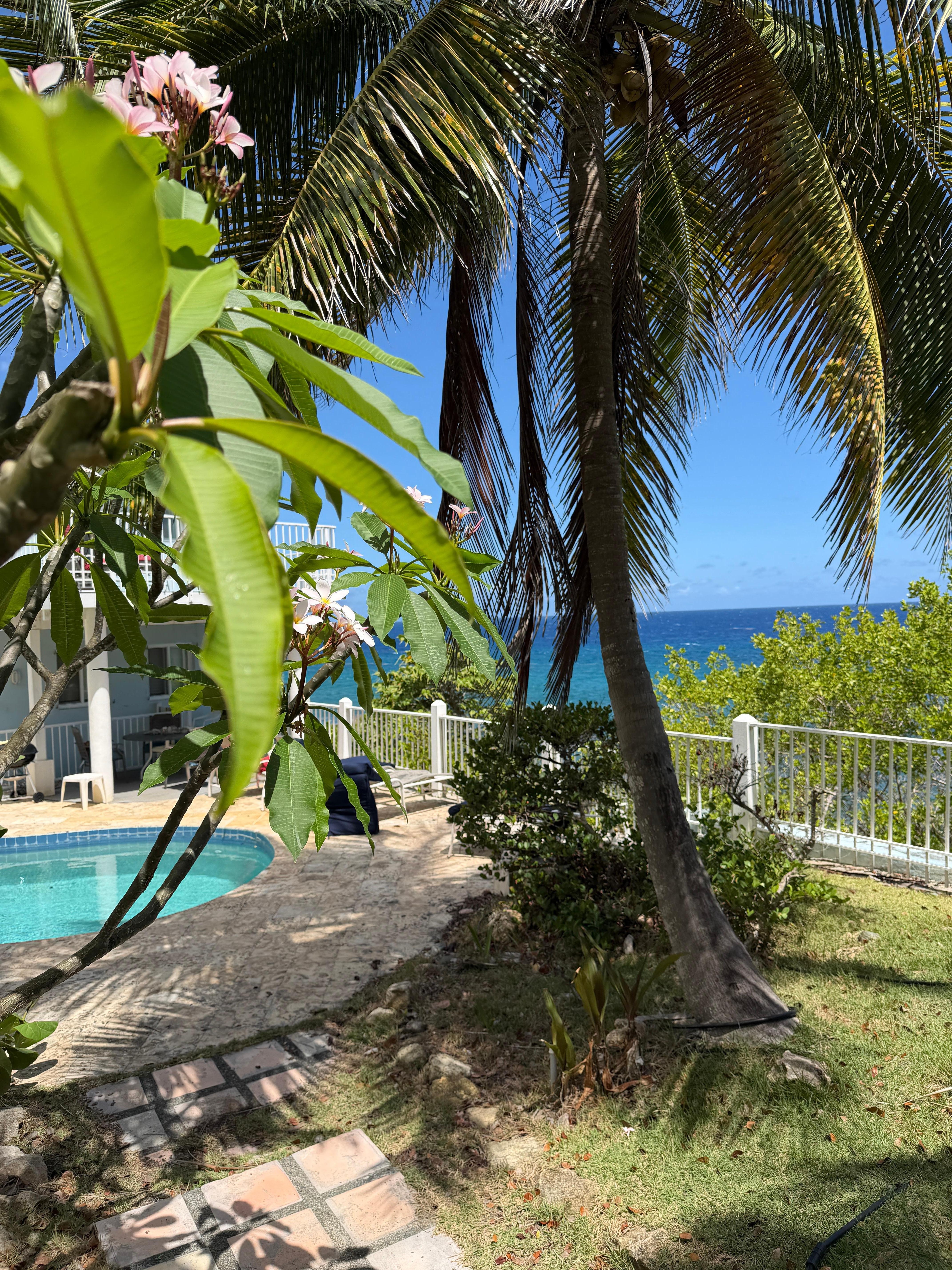 Side yard view of the pool and ocean