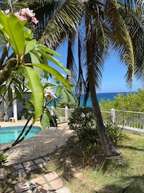 Side yard view of the pool and ocean