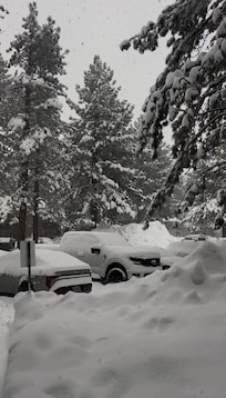 This was the winter wonderland we woke up to each morning!