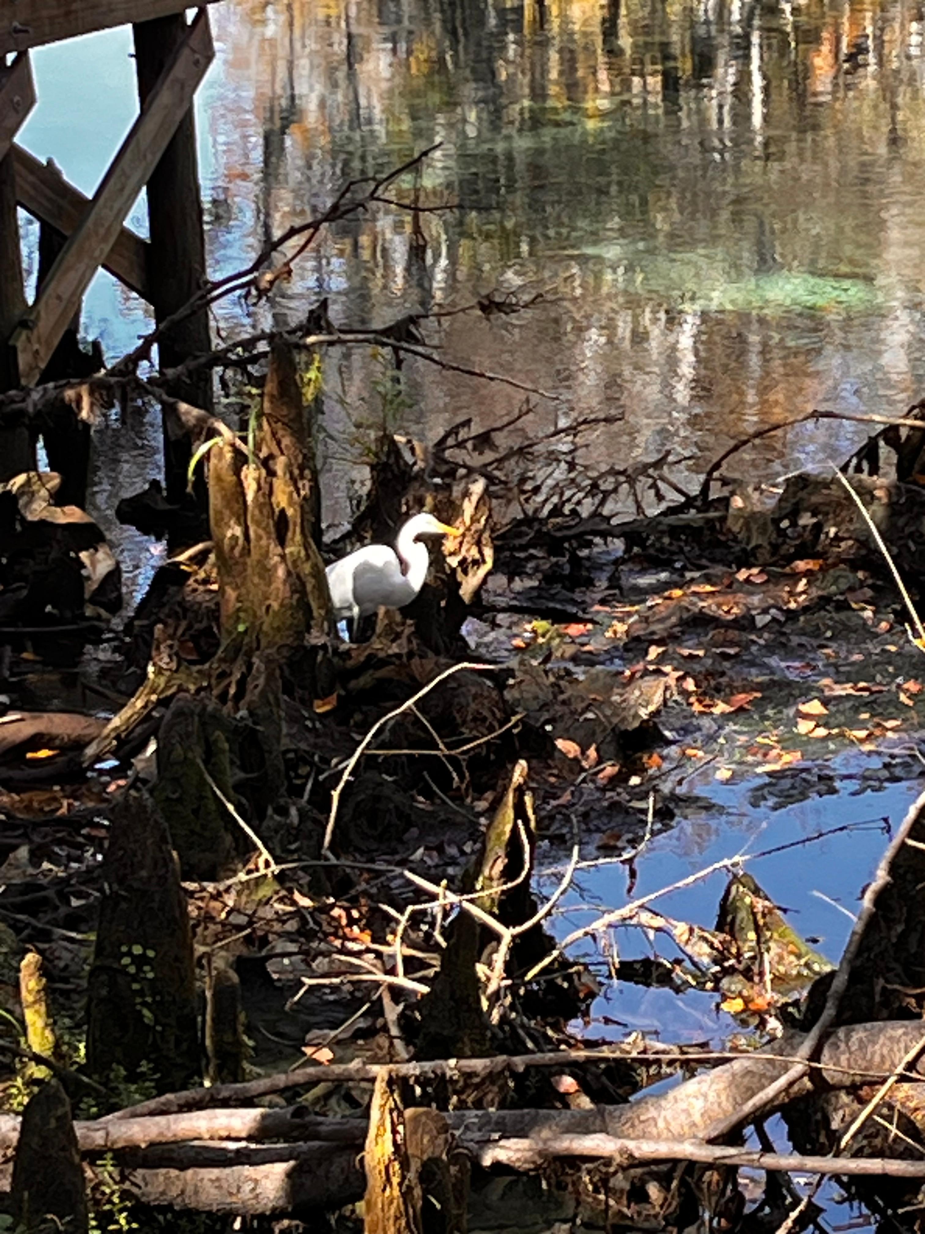Surrounding Nature Preserves. 