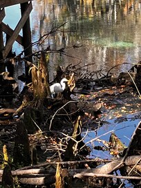 Surrounding Nature Preserves.