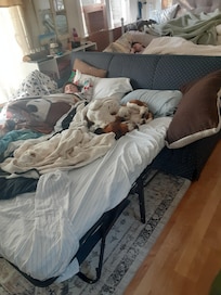 Even our dog felt at home!