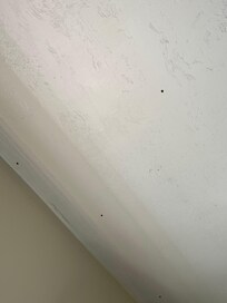 Zoom in for ceiling bugs