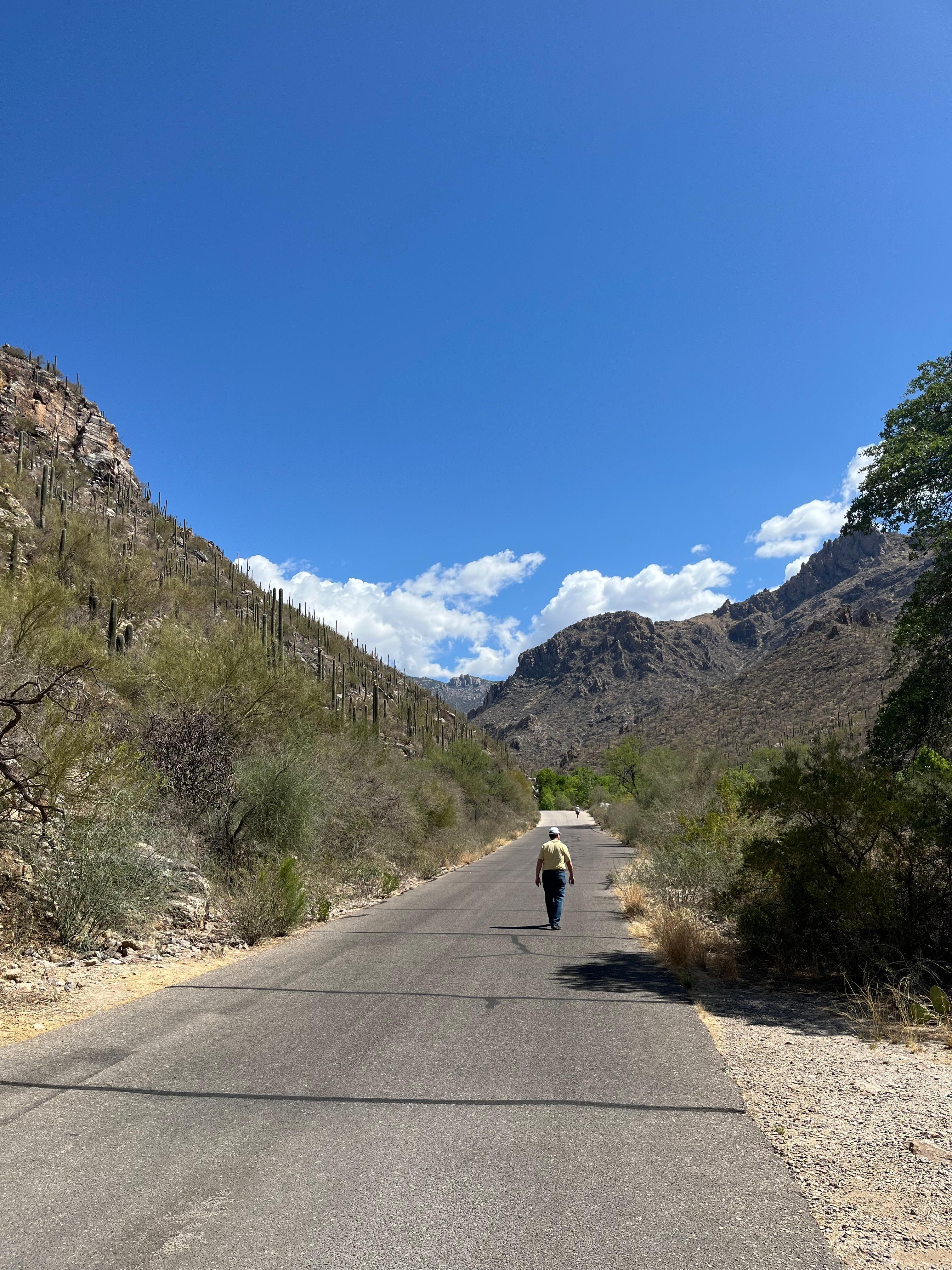 Sonoran Mountain hike at nearby Sabino Nature Preserve