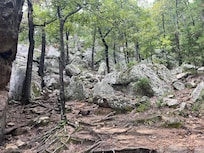 Robbers cave state park