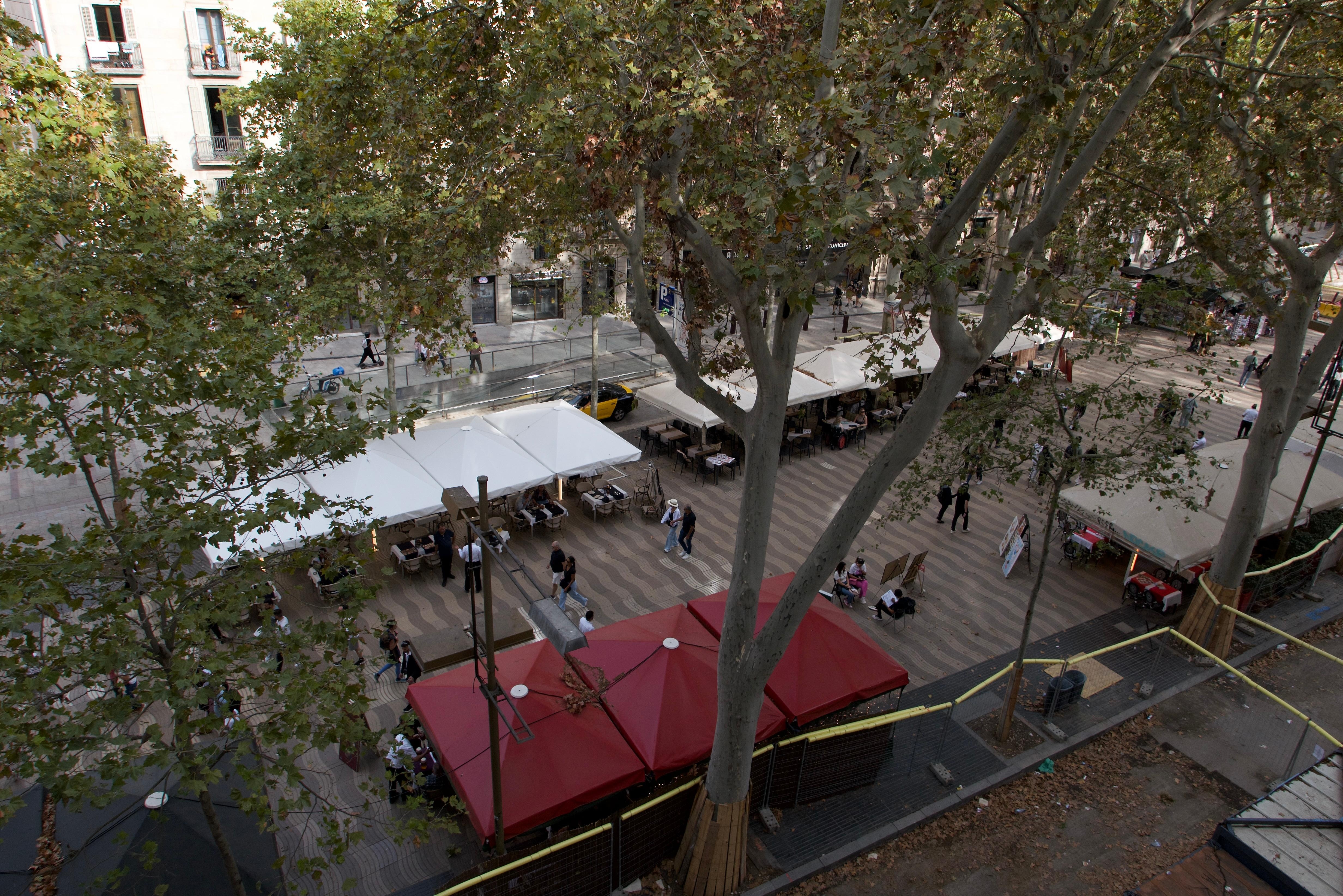 The view from my room.