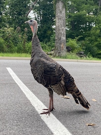 Photo taken less than 5 feet from my truck