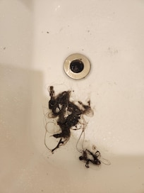 What we had to remove to get the water to drain