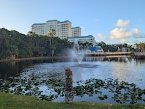 Loved the pond area. Turtles, fish, birds!