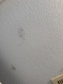 Mold on the ceiling in the bathroom