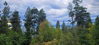 View from the deck