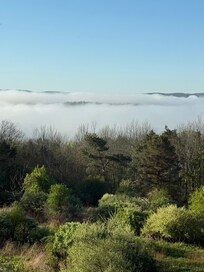 Morning views