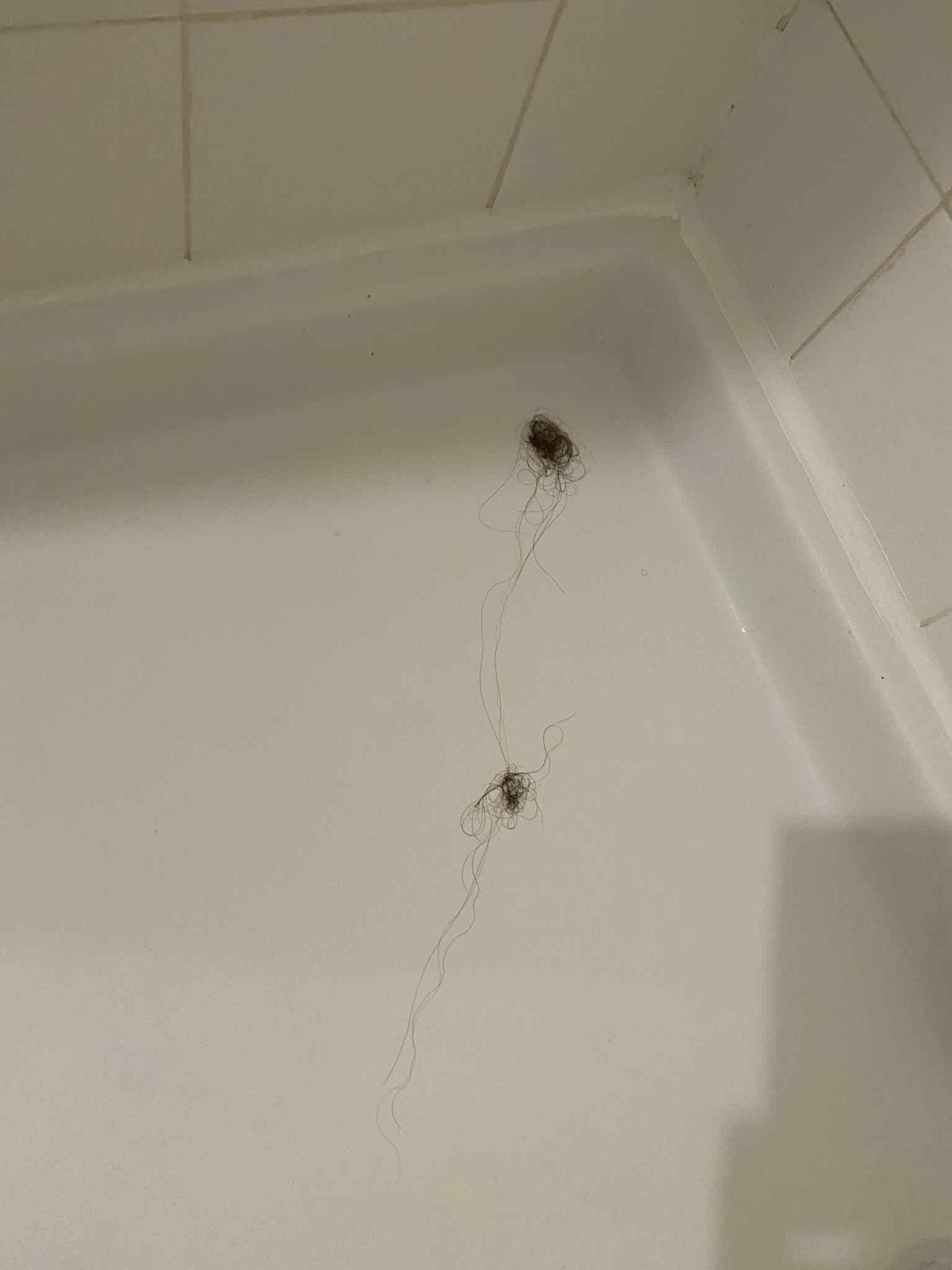 hair in downstairs bathroom