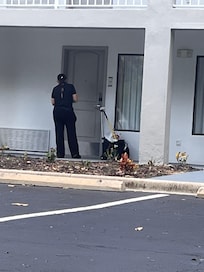 Housekeeping with paint roller and RoundUp