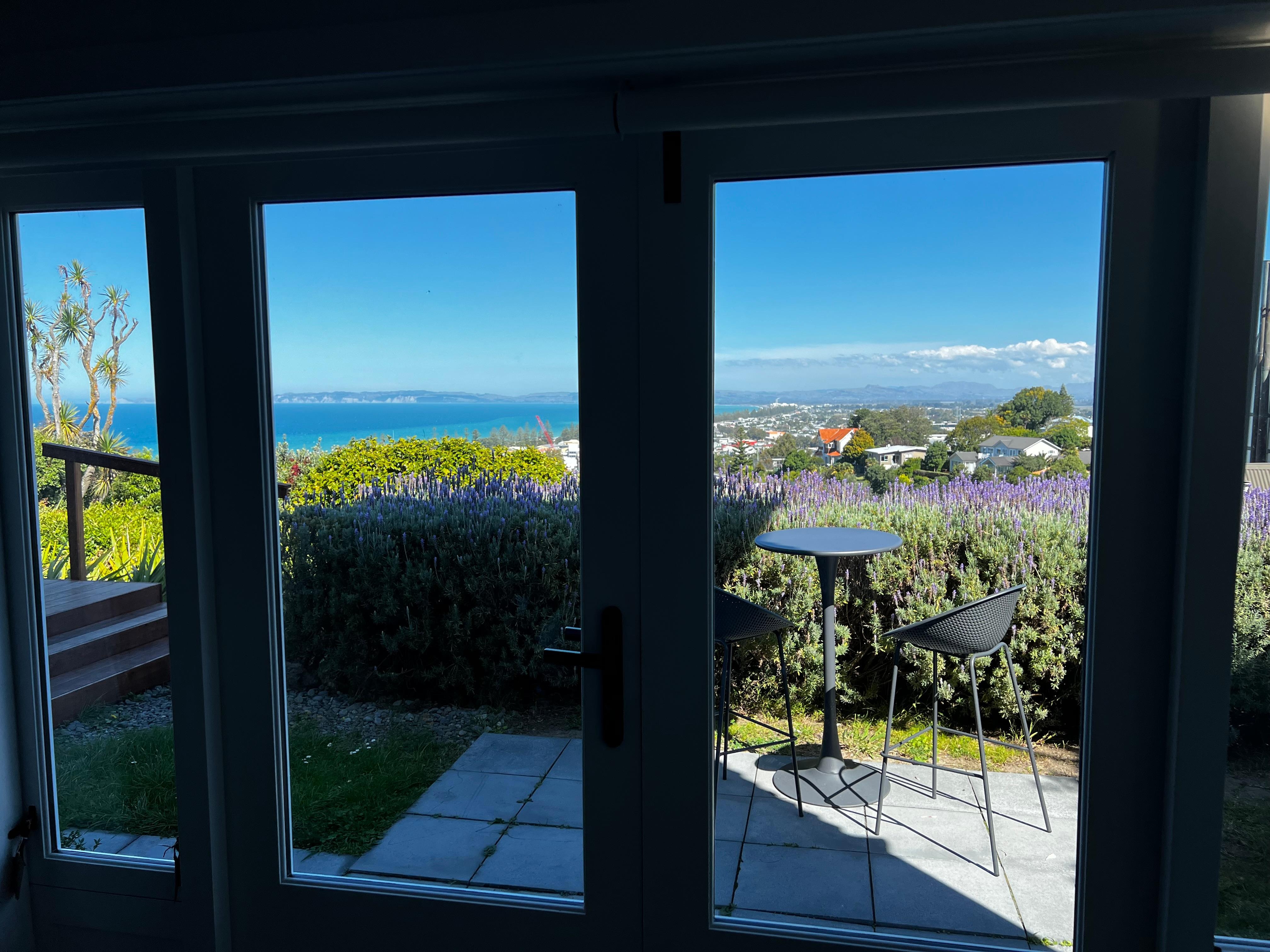 Looking out the window over the patio.