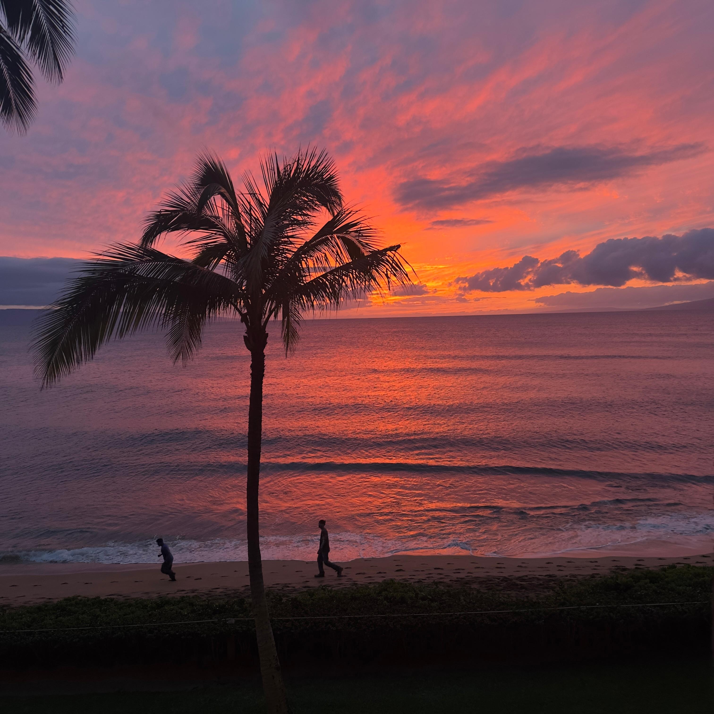 Right from our balcony.